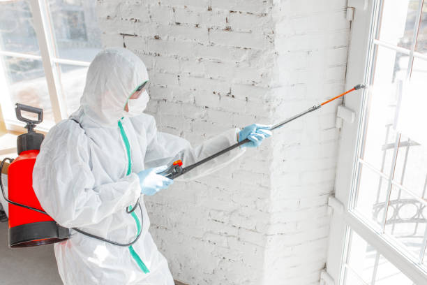 Mold Documentation for Insurance Claims in Vassar College, NY