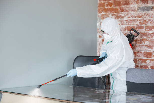 Mold Remediation for Vacation Homes in Vassar College, NY